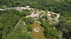 zoologico-do-parque-da-cidade,-em-aracaju,-e-temporariamente-fechado-para-reforma